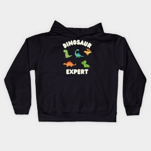 Dinosaur Expert Kids Hoodie